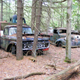 Illustration for article titled Massive Secret Mustang Junkyard Found In Rhode Island Forest
